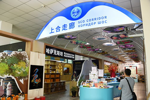 務(wù)實合作 互利共贏 中國上海合作組織地方經(jīng)貿(mào)合作示范區(qū)五周年觀察